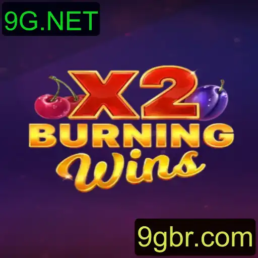 Tudo o que Você Precisa Saber sobre o Jogo BurningWinsX2